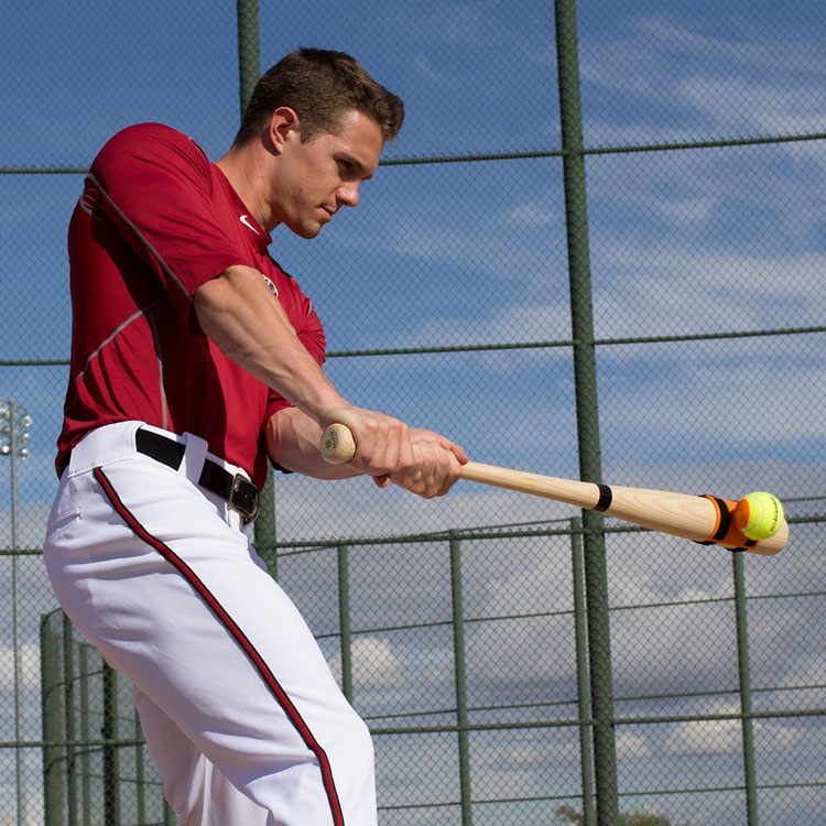 楽天市場】野球 打撃練習アイテム ラインドライブプロトレーナー