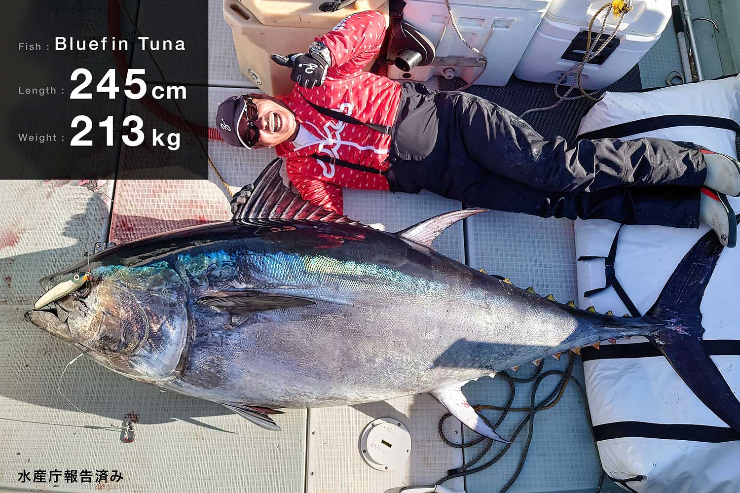 マグロキャスティング】ゼナックから凄いロッド、Tobizo(トビゾー)TC77