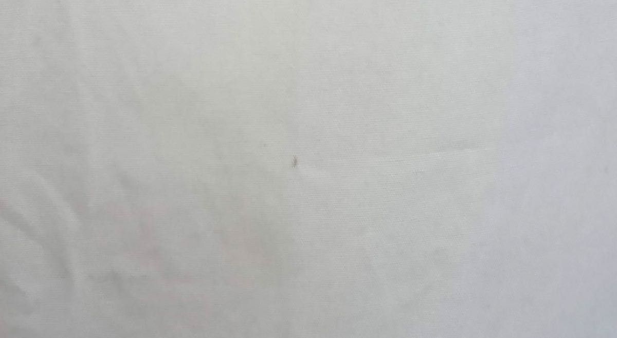 激レア】Megabass メガバス×ヤマハ アングラーシャツハーフ パガーニ