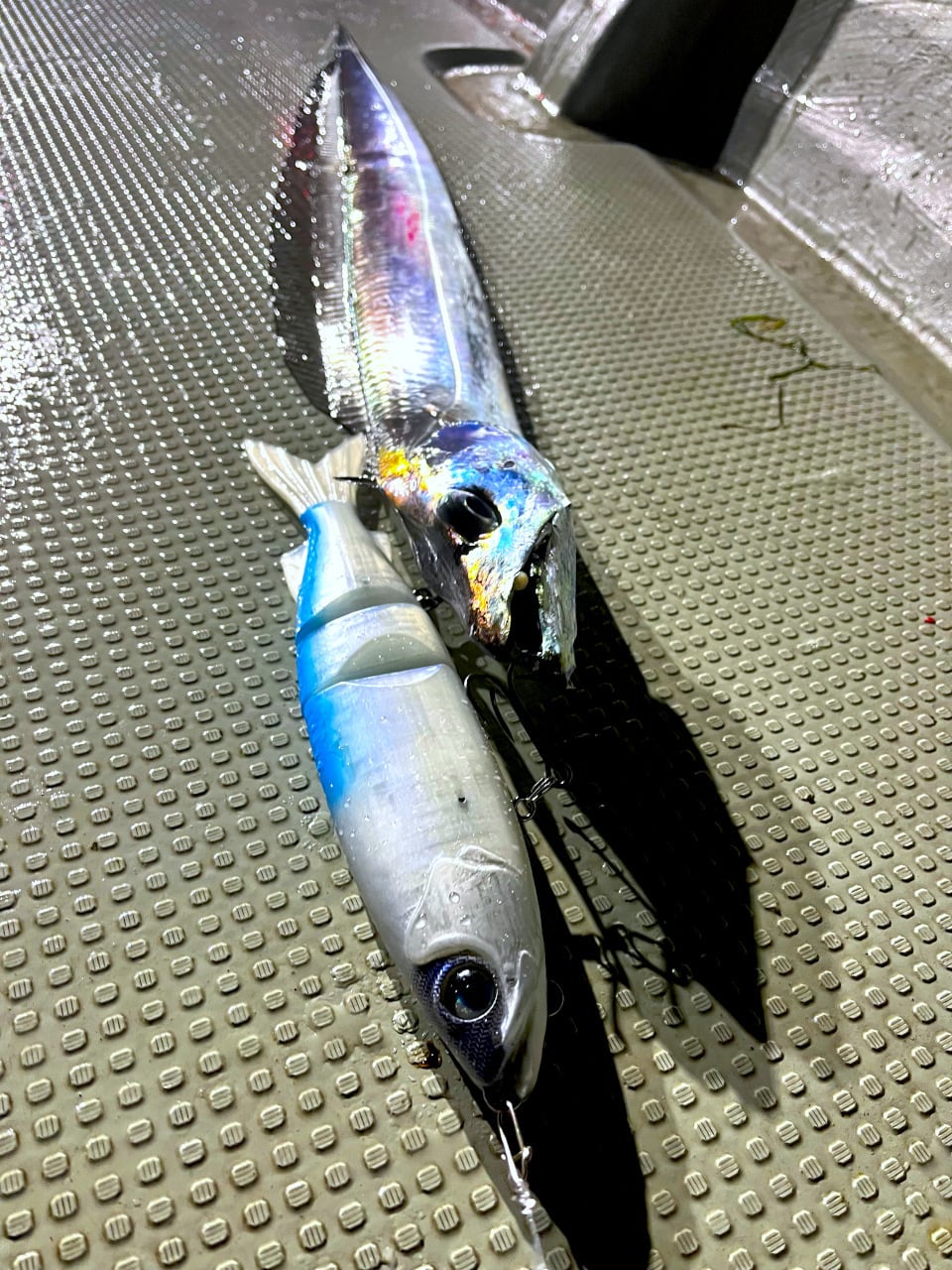 タフタム300 パールブルー | Boo Boo Factory