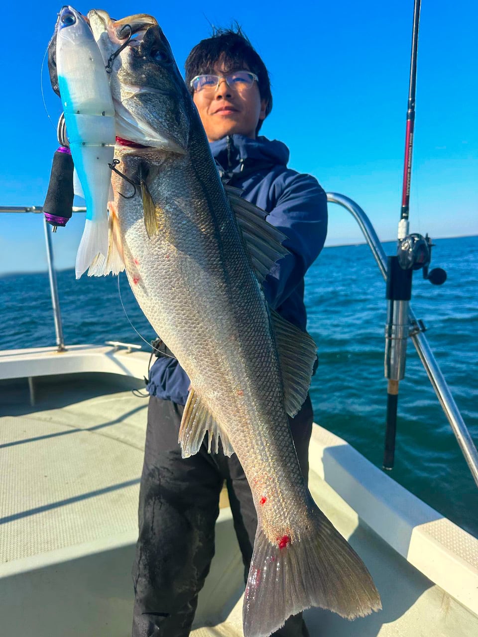 タフタム300 パールブルー | Boo Boo Factory