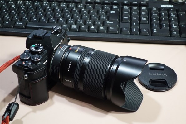 パナソニック LEICA D VARIO-ELMAR 14-50mm/F3.8-5.6 ASPH./MEGA