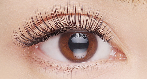 プラチナセーブル®｜まつ毛エクステ商材のMiss eye d'or | HISTORIC