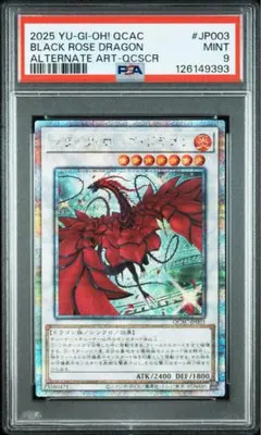 2026年最新】ブラックローズドラゴン psa10の人気アイテム - メルカリ